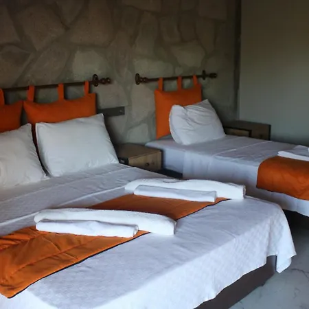 Sokakagzi & * Ayvacik (Canakkale)